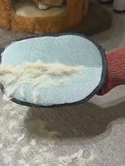 GUANTE REMOVEDOR DE PELOS